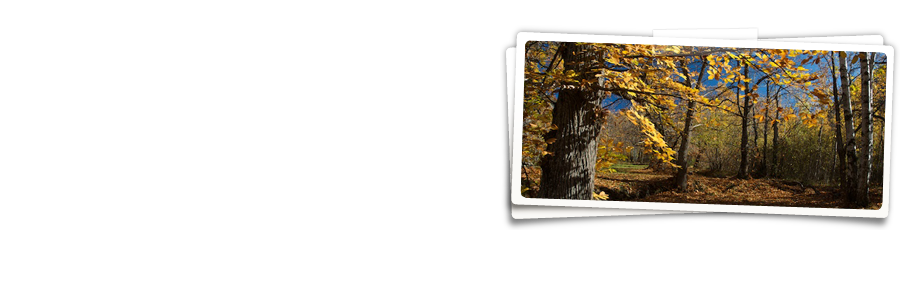 automne.png