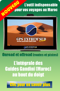 pub-gps-gandini-site-serre
