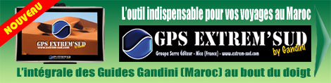 PUB-GPS-GANDINI-470