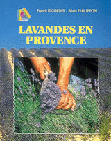 LAVANDES EN PROVENCE