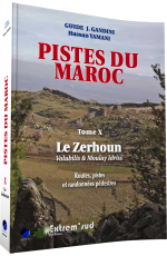 Tome 10