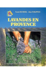 LAVANDES EN PROVENCE