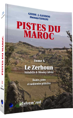 Tome 10