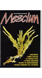 MESCLUN N° 17