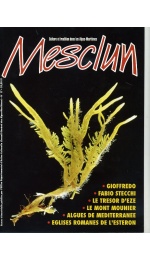 MESCLUN N° 17