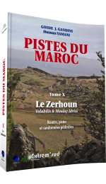Tome 10